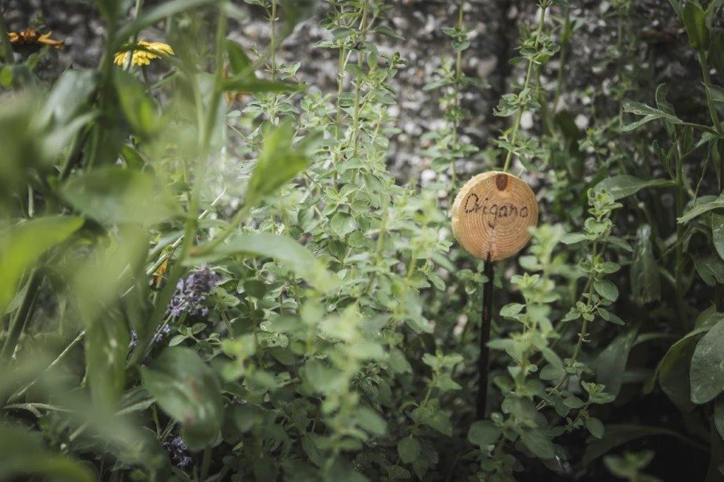 Ahrn Natur Apartment Lutago Buitenkant foto